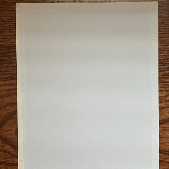 Beds of Daisies Canvas Board Art - Picture 4 of 4